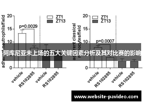 阿库尼亚未上场的五大关键因素分析及其对比赛的影响